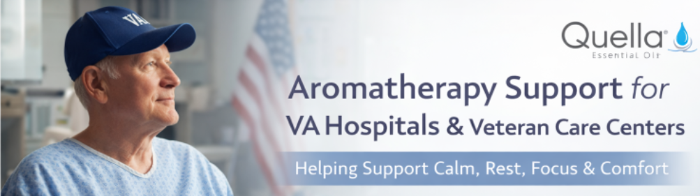 Veteran receiving supportive care in a VA healthcare setting